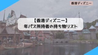 【2024年8月】香港ディズニー 年パス所持者の持ち物リスト