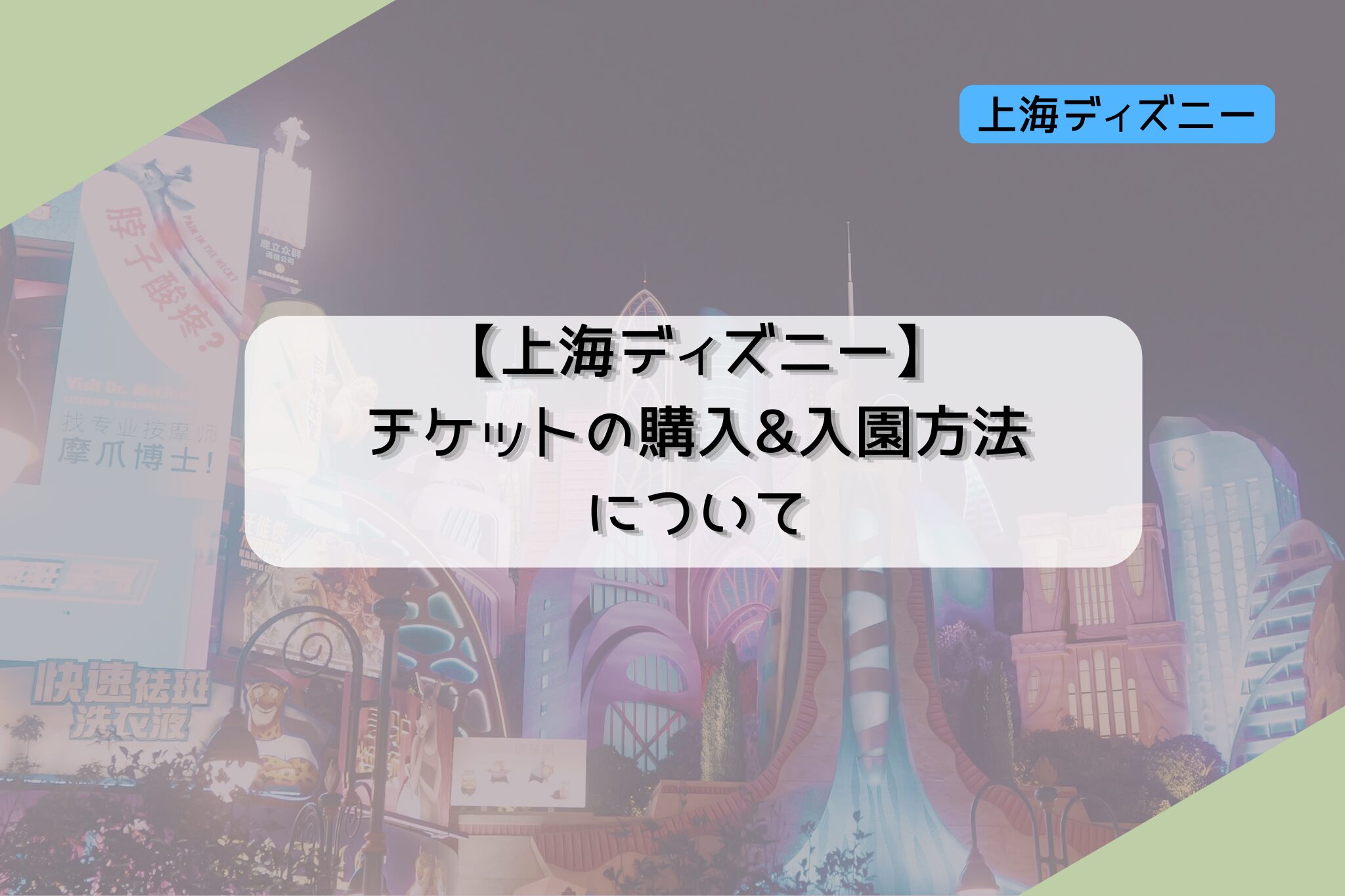 活動歴および当時の関連ビジュアル記録